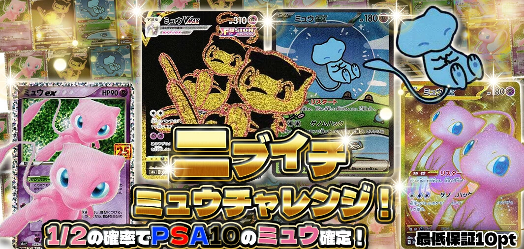 ニブイチミュウチャレンジ！