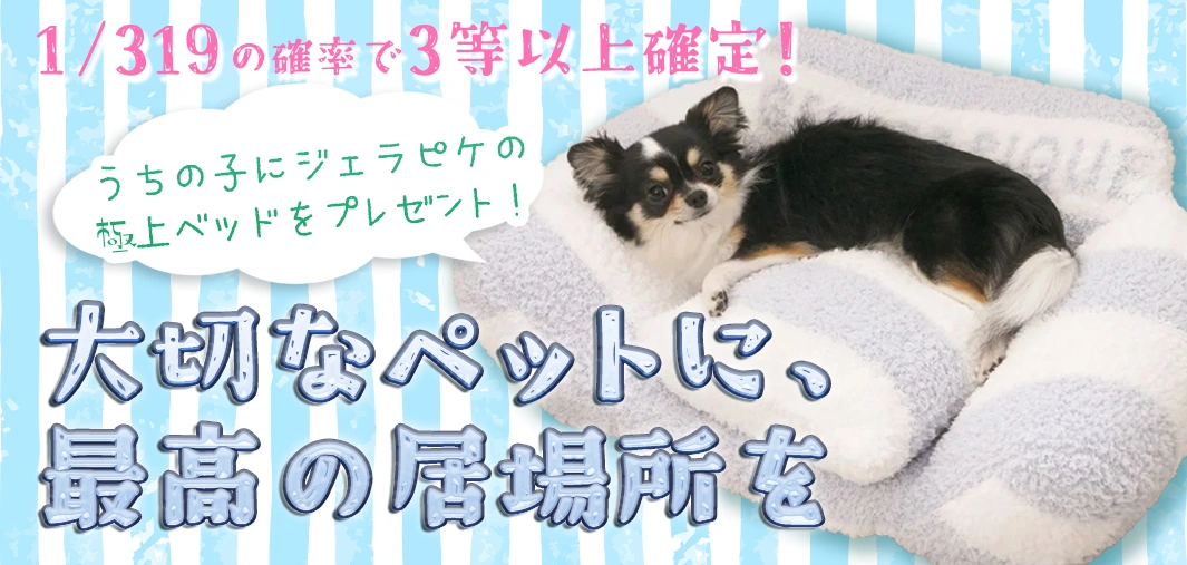 大切なペットに、最高の居場所を