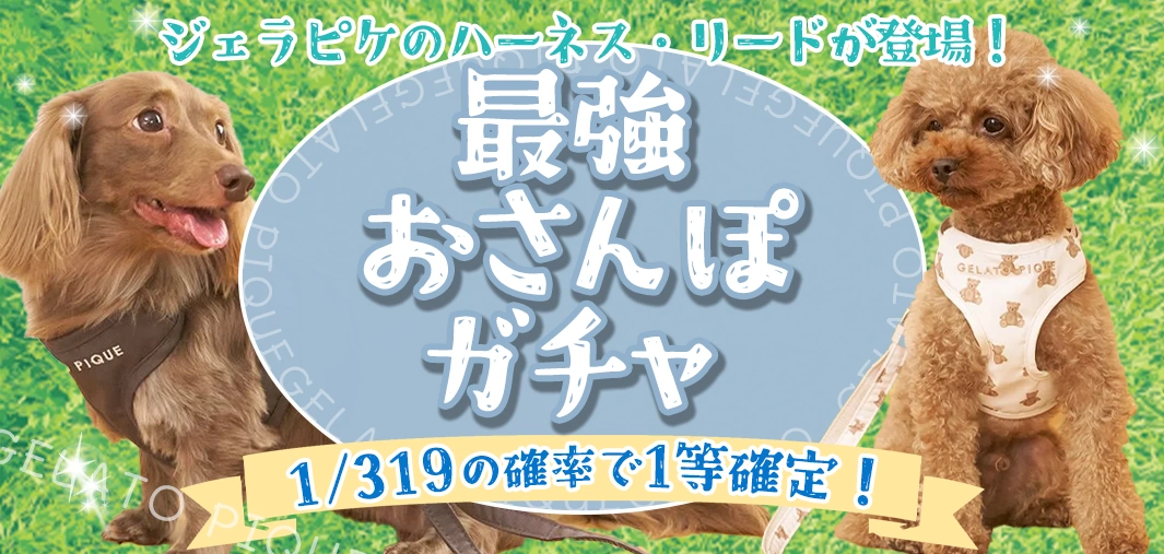 最強おさんぽガチャ