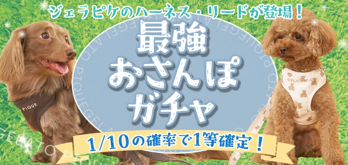 最強おさんぽガチャ