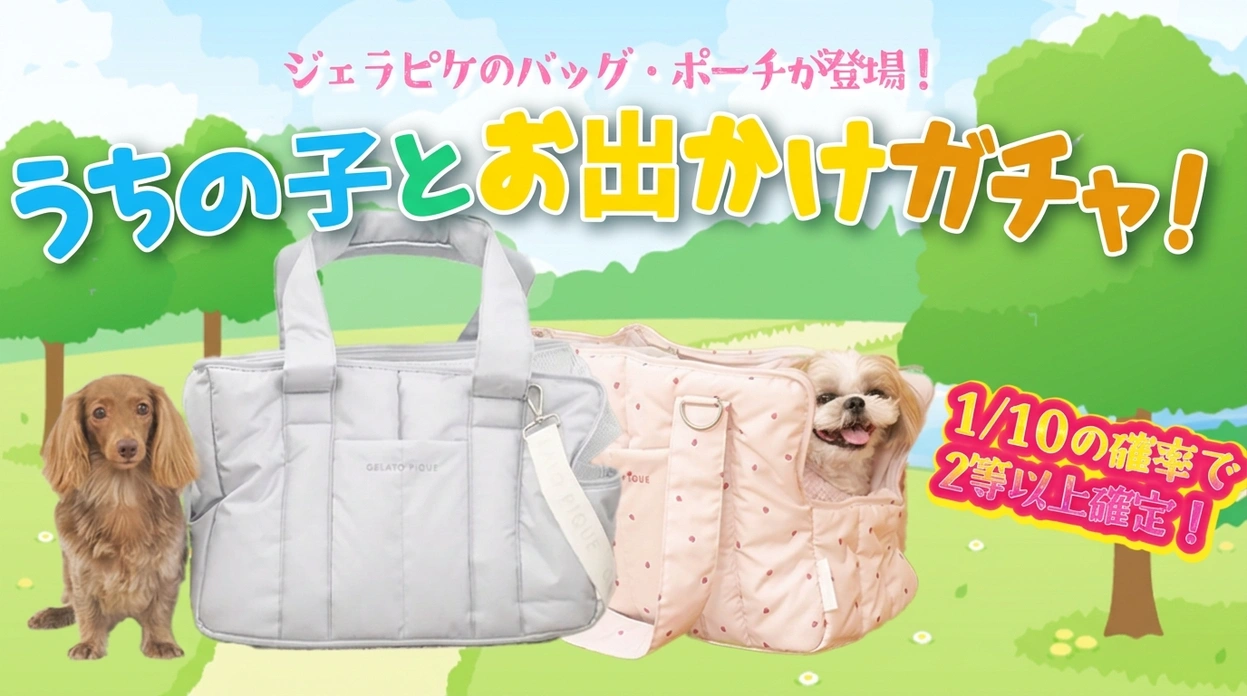 うちの子とお出かけガチャ！