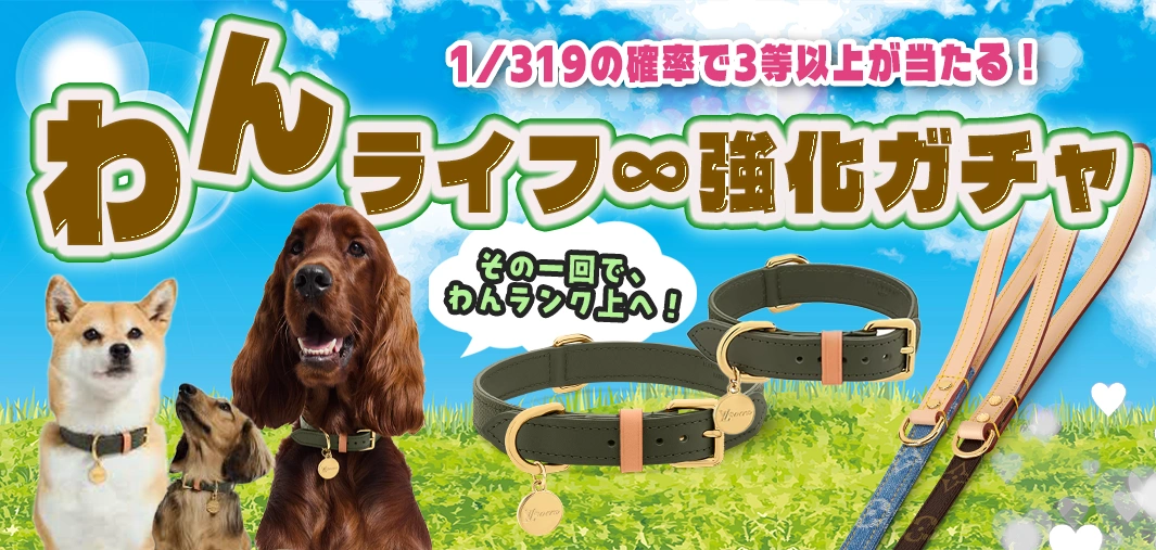 わんライフ∞強化ガチャ