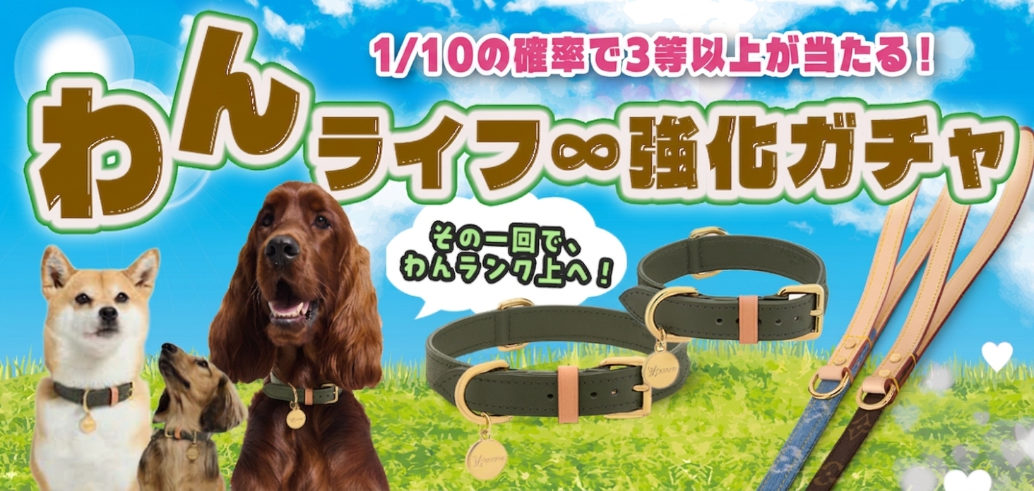 わんライフ∞強化ガチャ