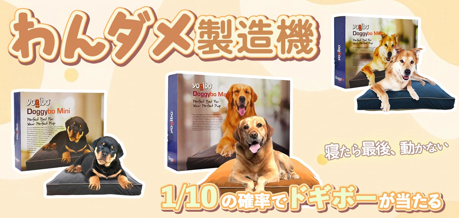 わんダメ製造機