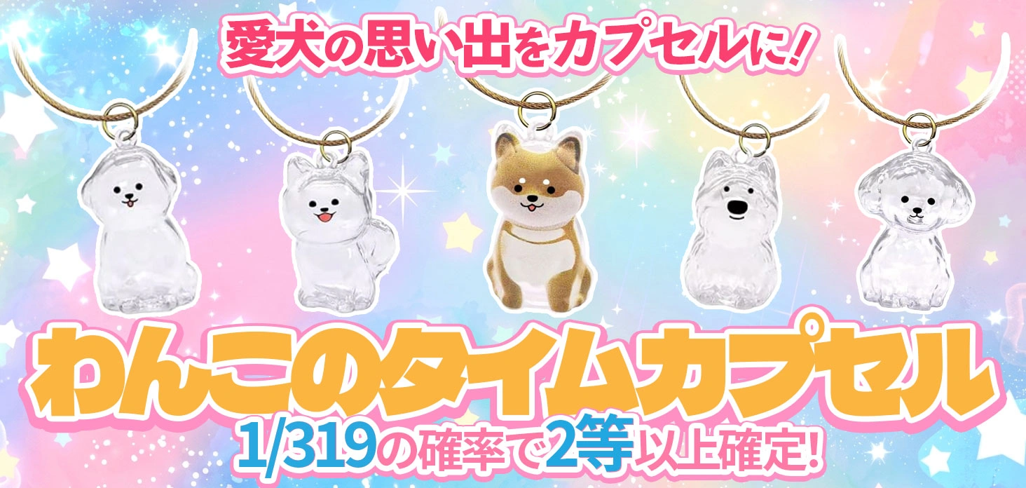 わんこのタイムカプセル