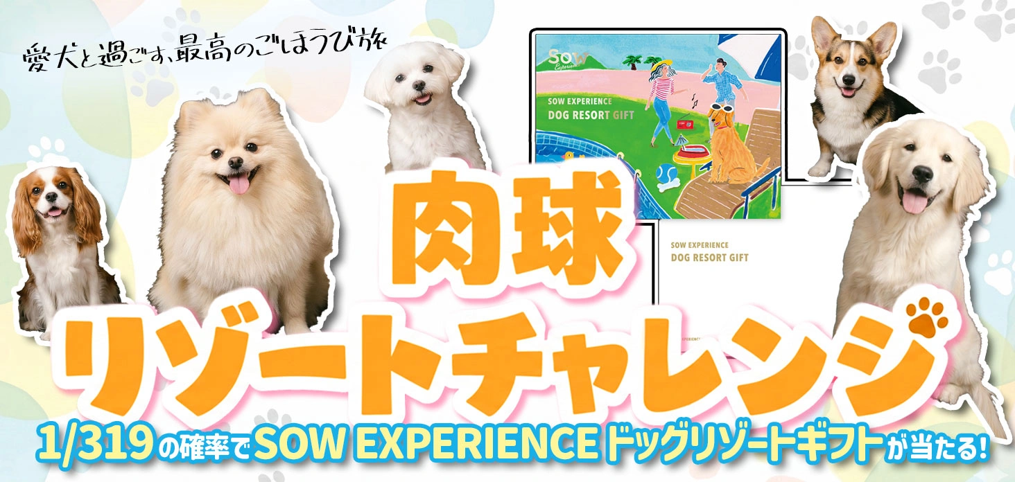 肉球リゾートチャレンジ