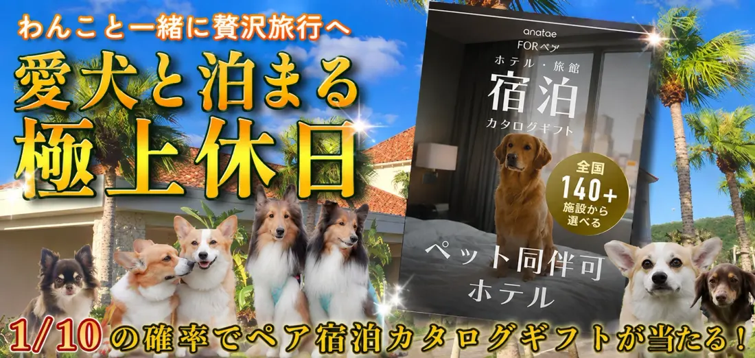 愛犬と泊まる極上休日